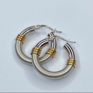 Elegant Silver and Gold Hoop Earrings